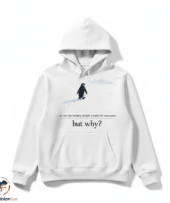Official We Saw Him Heading Straight But Toward the Mountains Why shirt