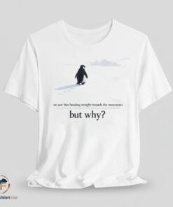 Official We Saw Him Heading Straight But Toward the Mountains Why shirt