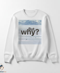But Why Motivation Penguin shirt 5 swmk 35