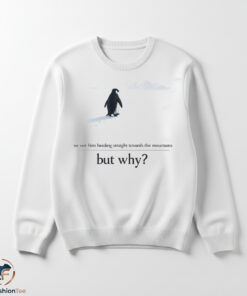 Official We Saw Him Heading Straight But Toward the Mountains Why shirt