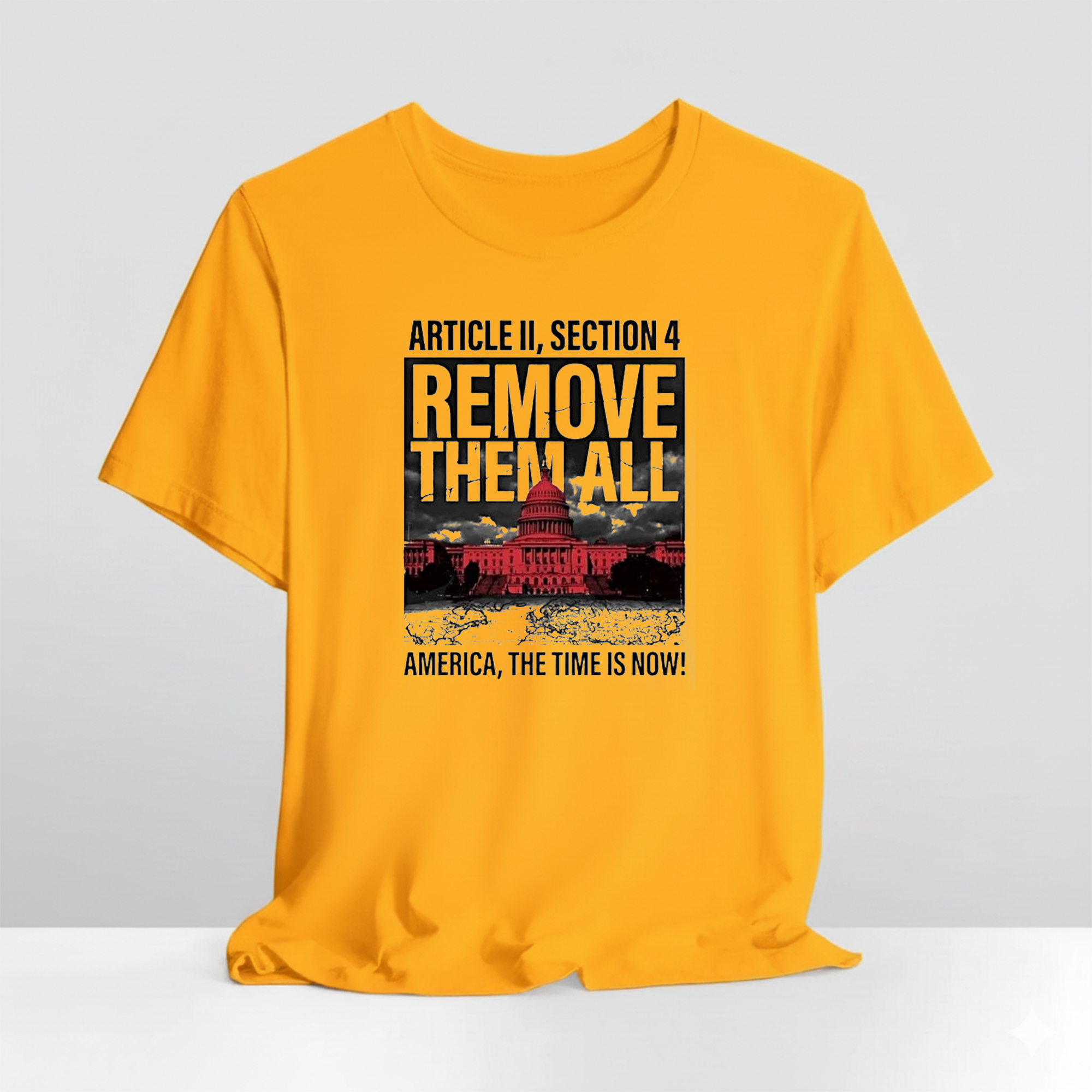 White House Article Ii Section 4 Remove Them All America The Time Is Now Shirt 3 White House Article Ii Section 4 Remove Them All America The Time Is Now Shirt - Image 3