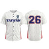 2026 Taiwanese Heritage Night Detroit Tigers Jersey