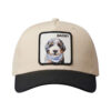 Bobby Witt Jr Barry Dog Hat 5 Bobby Witt Jr Barry Dog Hat