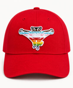 2026 Richmond Flying Squirrels Pride Night Hat 8 2026 Richmond Flying Squirrels Pride Night Hat