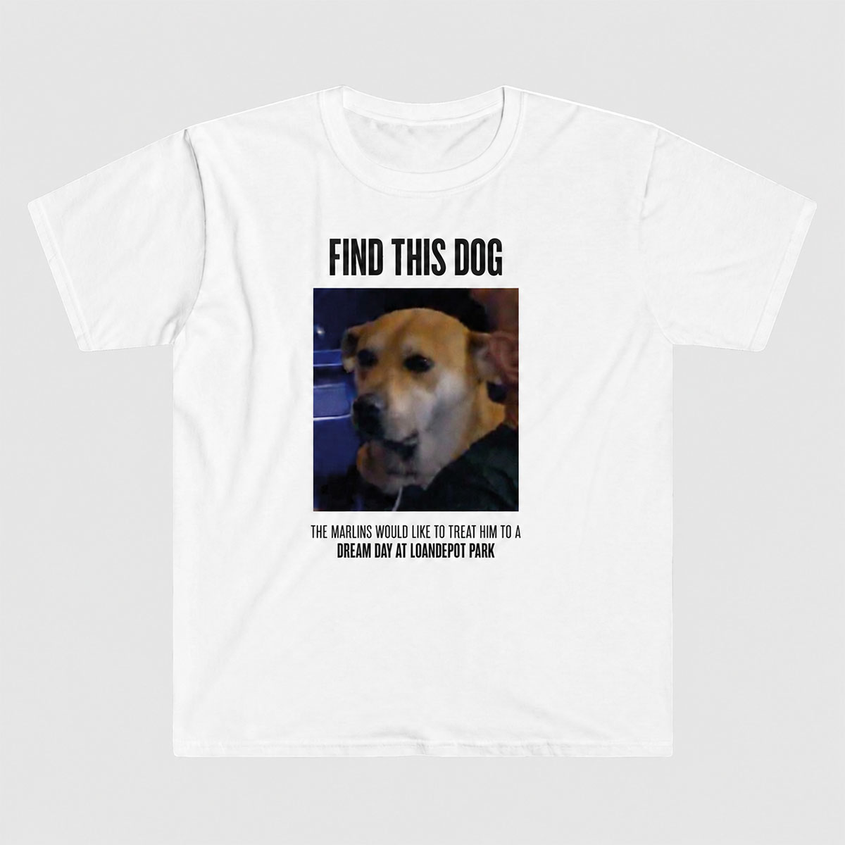 Find This Dog Dream Day At LoanDepot Park Shirt 2 Find This Dog Dream Day At LoanDepot Park Shirt - Image 2