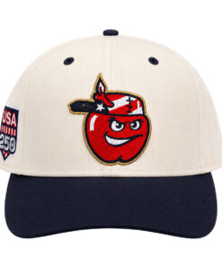 Fort Wayne TinCaps USA 250th July 4 Hat 2