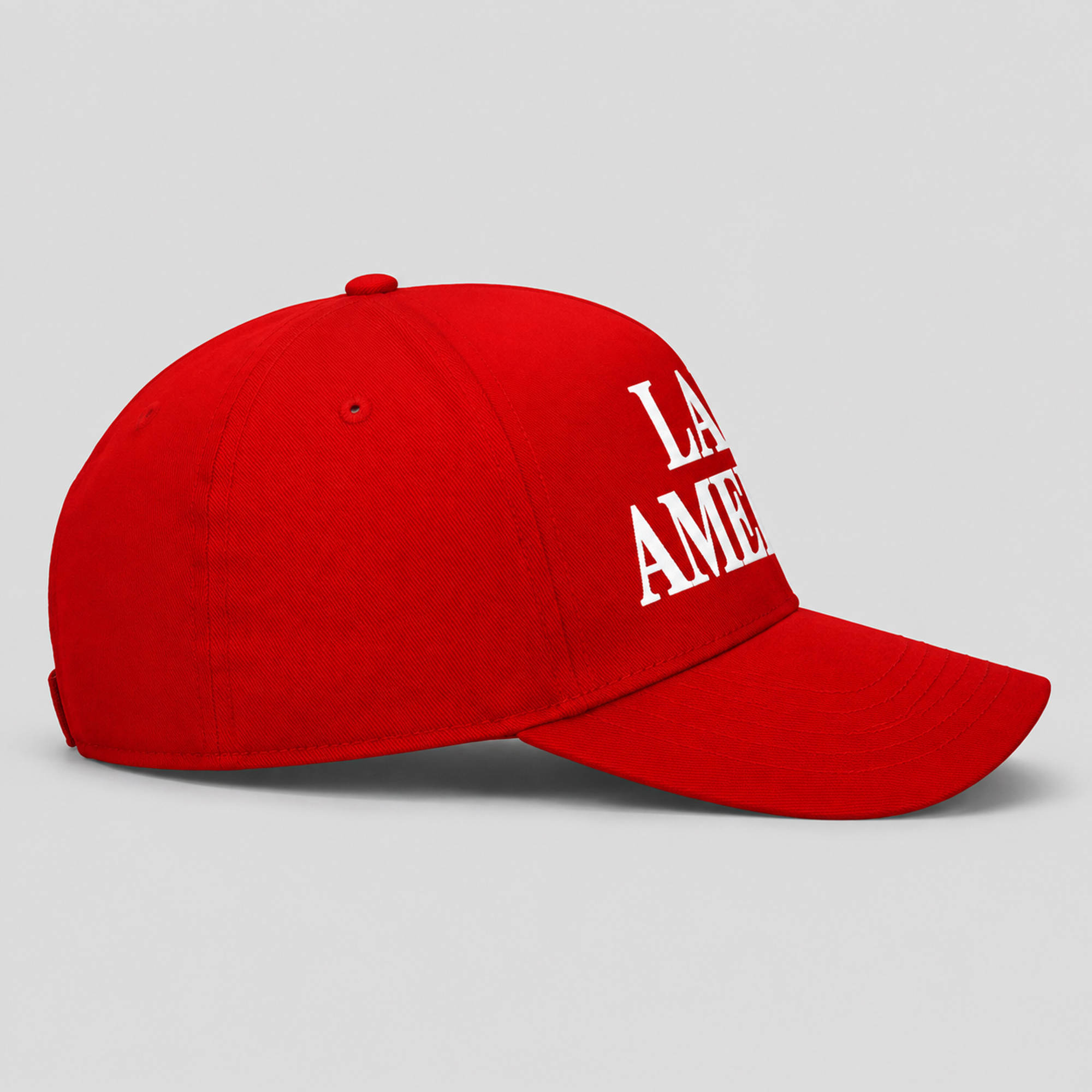 Trump With Lake America Hat 2 Trump With Lake America Hat - Image 2